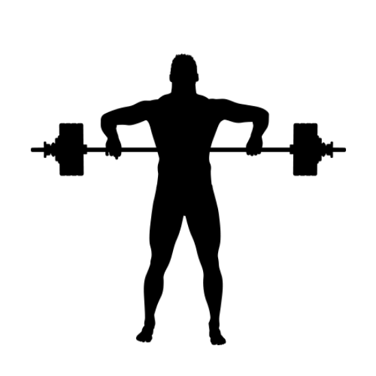 Picture of Bodybuilder 14 (weightlifting) (Gym Decor: Wall Silhouettes)