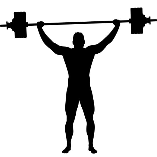 Picture of Bodybuilder 16 (weightlifting) (Gym Decor: Silhouette Decals)