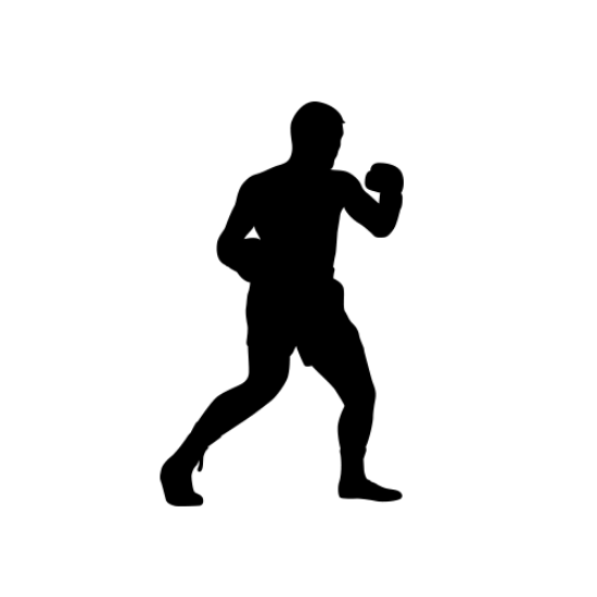 Picture of Boxer  2 (Boxing Decor: Silhouette Decals)