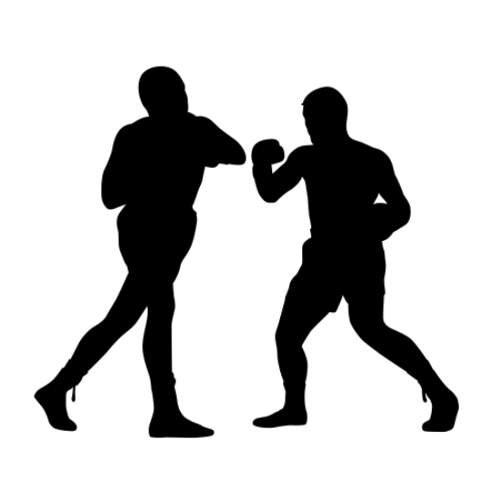 Picture of Boxer 10 (Boxing Decor: Silhouette Decals)