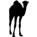 Picture of Camel 41 (Safari Animal Silhouette Decals)