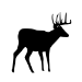 Picture of Deer (Buck) 17 (Deer Silhouette: Hunting Decals)
