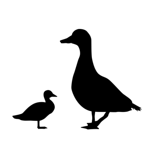 Picture of Duck 62 (Farm Animal Silhouette Decals)