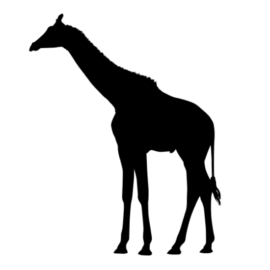 Picture of Giraffe 10 (Safari Animal Silhouette Decals)