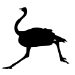 Picture of Ostrich 27 (Safari Animal Silhouette Decals)