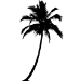 Picture of Palm Tree  2 (Vinyl Wall Decals: Tree Silhouettes)