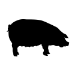 Picture of Pig 21 (Farm Animal Silhouette Decals)