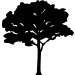 Picture of Tree  5 (Vinyl Wall Decals: Tree Silhouettes)