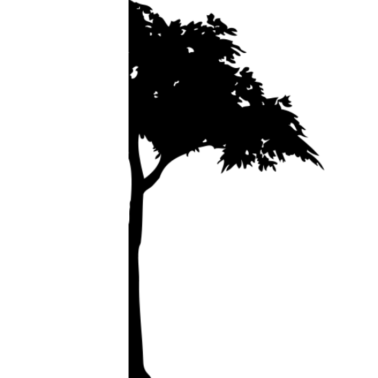 Picture of Half Tree 22 (Vinyl Wall Decals: Tree Silhouettes)