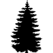 Picture of Pine Tree 35 (Vinyl Wall Decals: Tree Silhouettes)